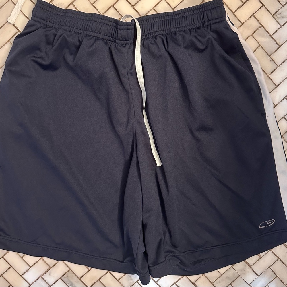 Champion Blue and White Athletic Shorts Lightweight Performance